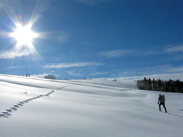 Christy cruises through Van Horn Park enroute to McNamara Hut