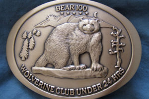 Bear 100