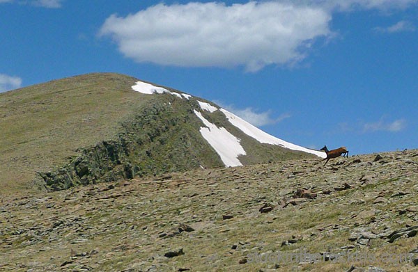 mount marcy sangres