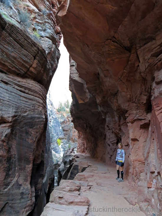 east rim trail zion national park