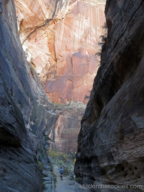 Weeping rock trail, zion traverse