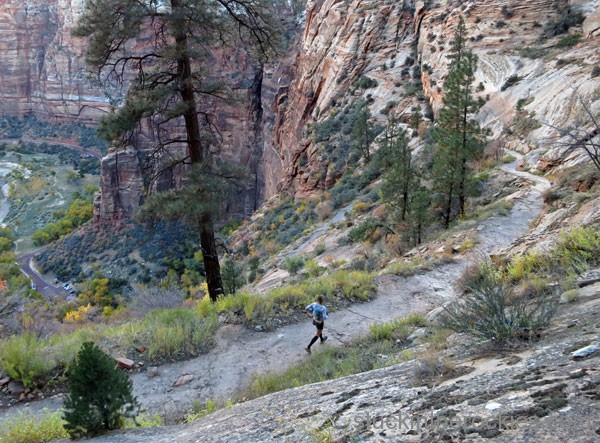 weeping wall zion traverse