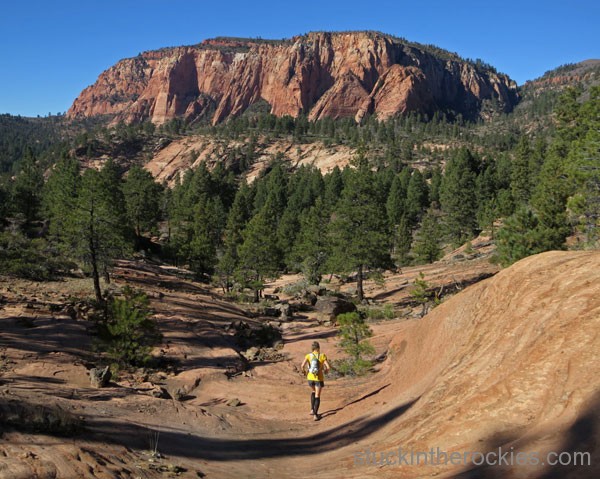 Wildcat Trail, zion national park, zion traverse