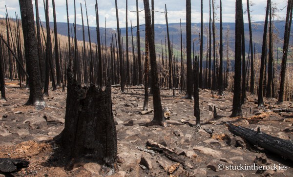 West Fork Complex Wildfire01