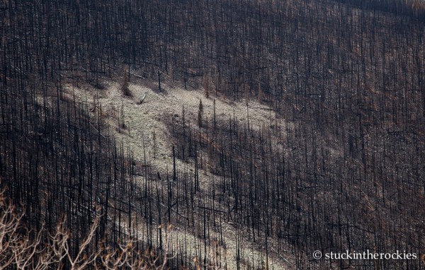 West Fork Complex Wildfire07