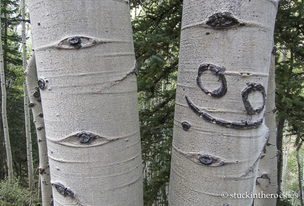 aspen tree carving, smiley face