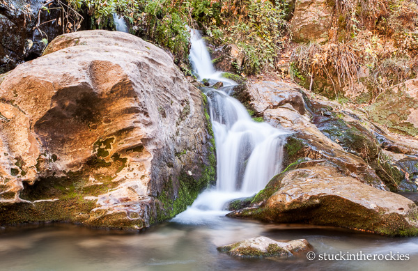 Fresh Springs