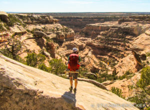 Ted Mahon looking down Owl Canyon