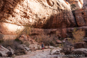 Hiking on Owl Canyon