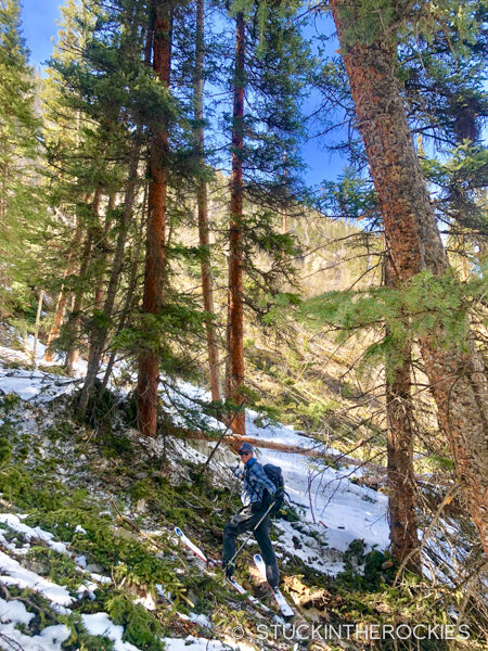 Avalanche debris in Big Willis Gulch