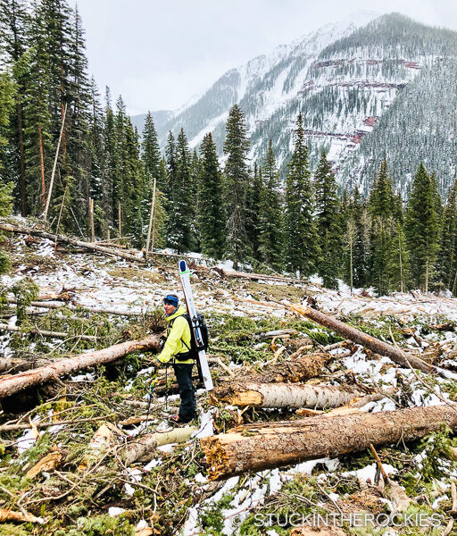 Avalanche debris