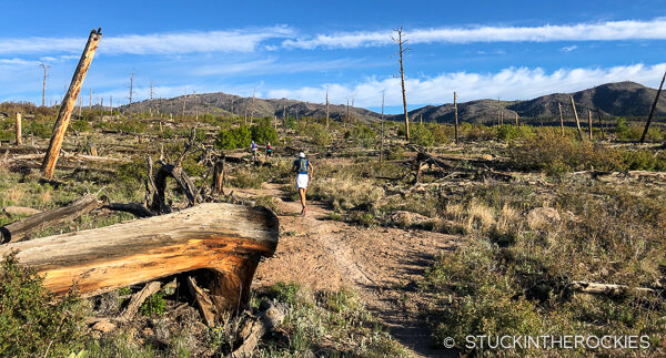 Running the Jemez 50k