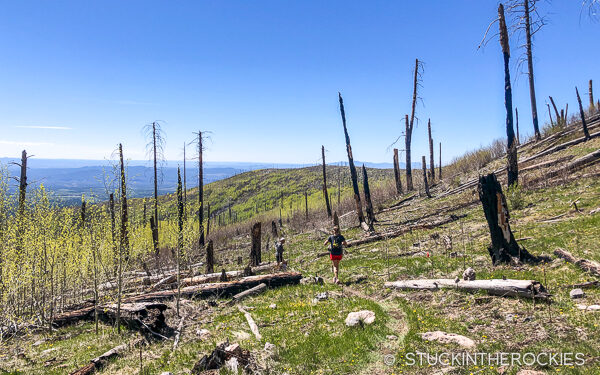 Christy Mahon running through the burn zones at the Jemez Mountain Trail Runs.