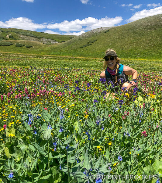 Christy Mahon and the San Juan wildflowers