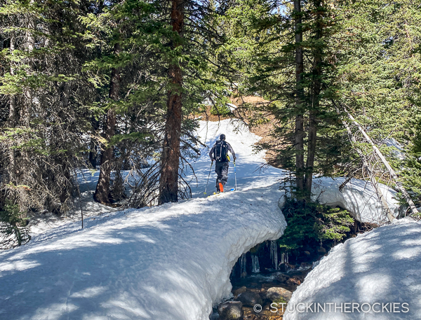 Skinning along Bard Creek