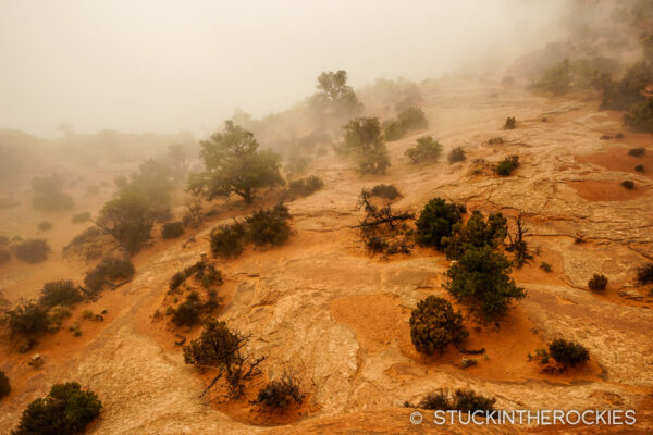 Desert photography at Island in the Sky