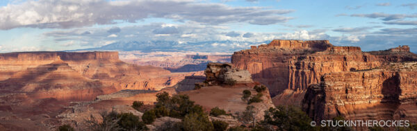 The view from the Shafer Trail Overlook.