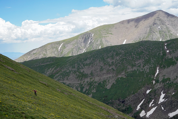 Hiking grassy slopes to Little Horn Peak