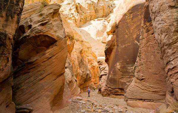 Chute Canyon