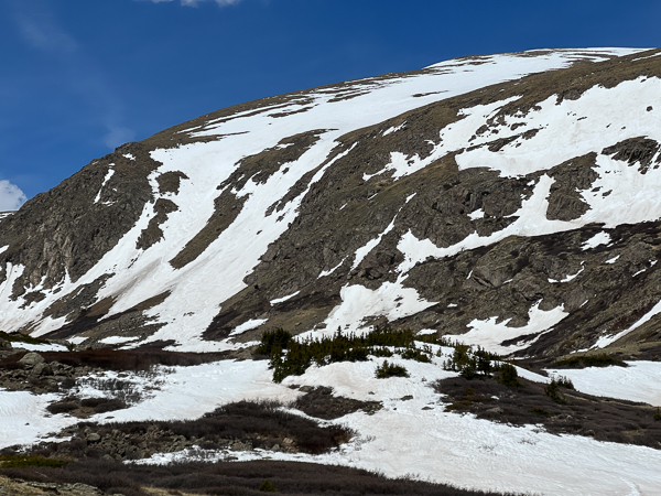 Ski lines on the east side of Mount Elbert.